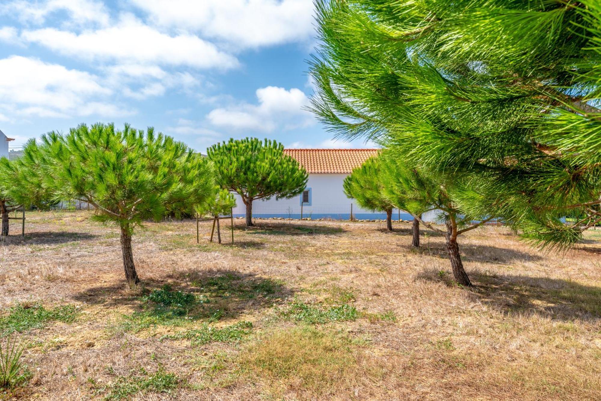 Quinta Da Bela Vista - Ericeira Villa Galiza Exteriör bild